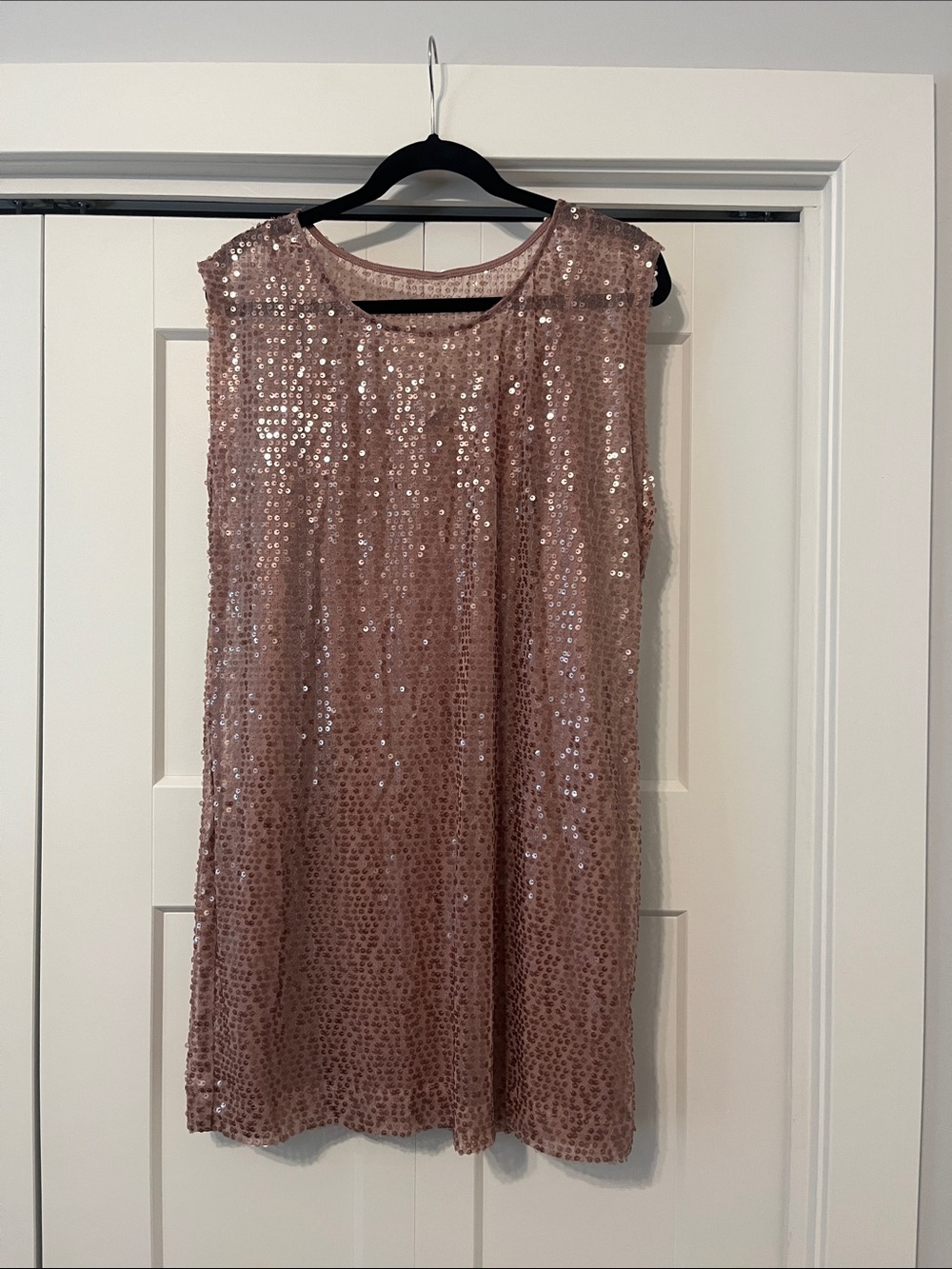 Sleeveless Blush Sequin Shift Dress Size 14 Lauren Conrad festival Taylor Swift
